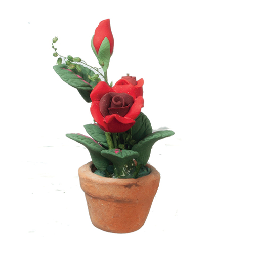 Red Roses in Pot